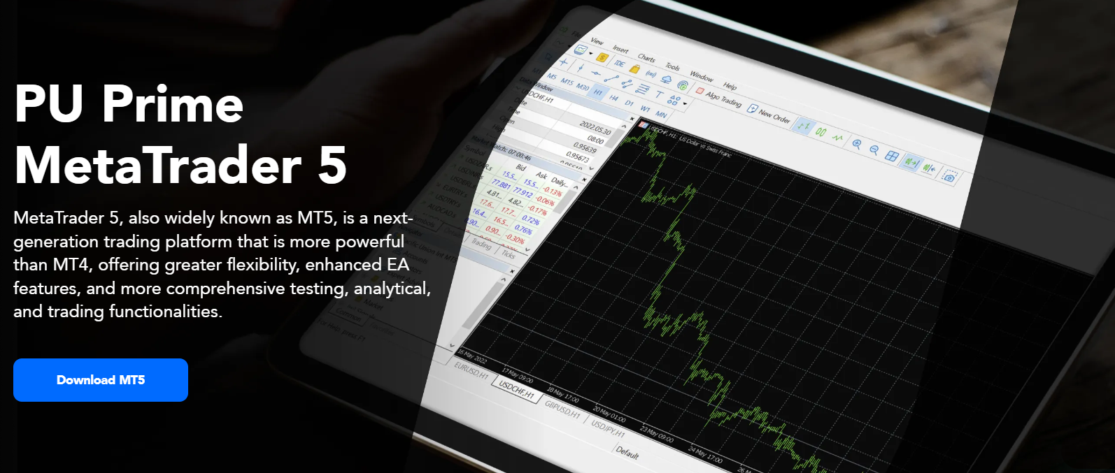 MetaTrader5 Puprime